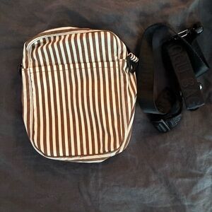 Brown Stripe SCB